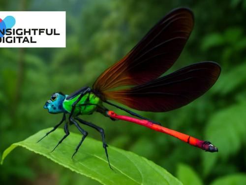 Rare Dragonfly Reconfirmed in the Western Ghats Highlands