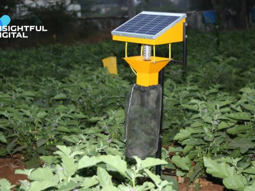 Solar Traps for Pest Control: A New Way to Protect Crops