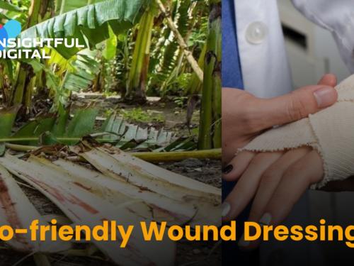 Indian Scientists Develop Eco-Friendly Wound Dressing from Banana Fibers