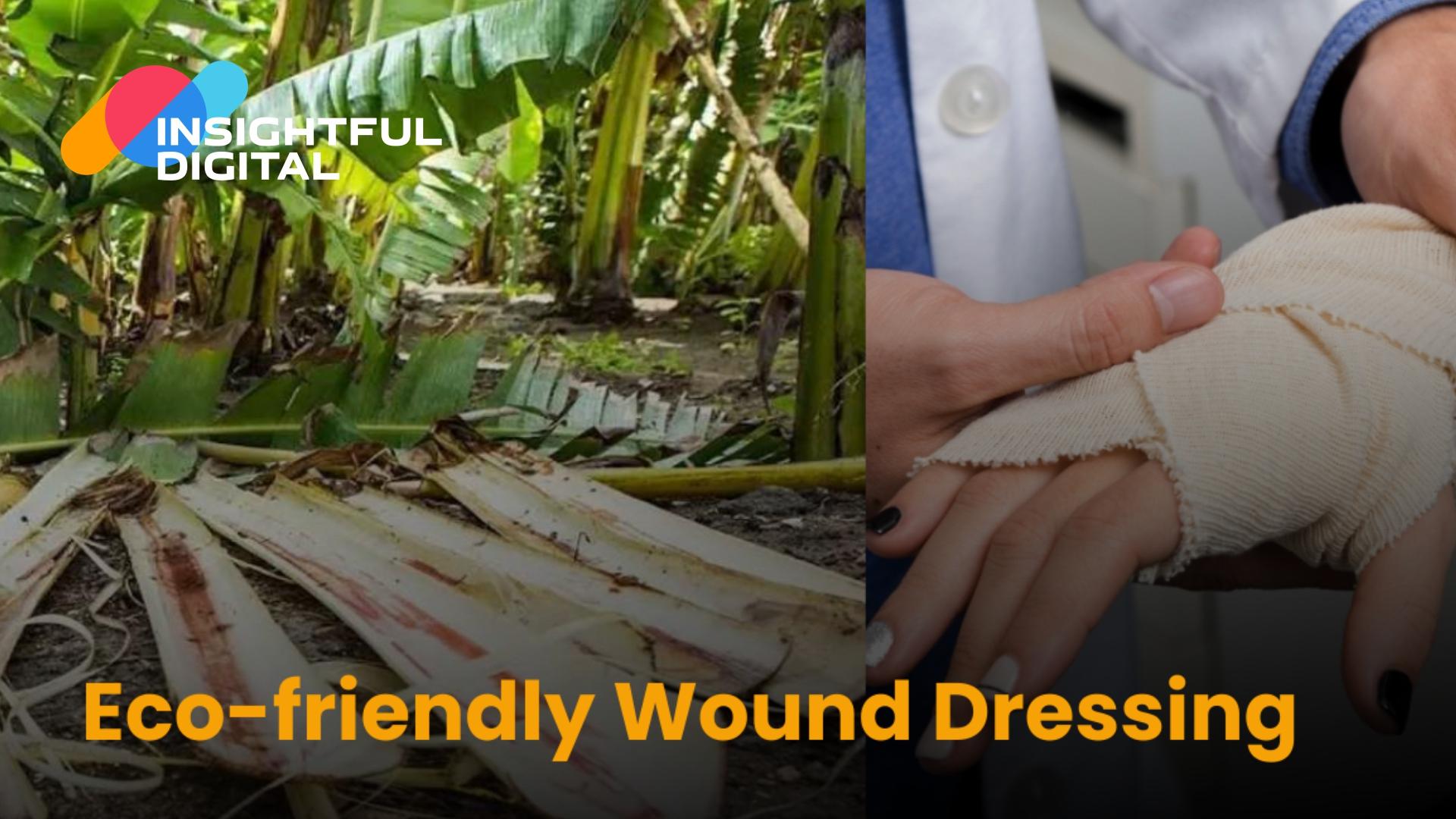 Indian Scientists Develop Eco-Friendly Wound Dressing from Banana Fibers